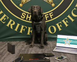 FCSO Introduces Electronic Storage Detection K-9