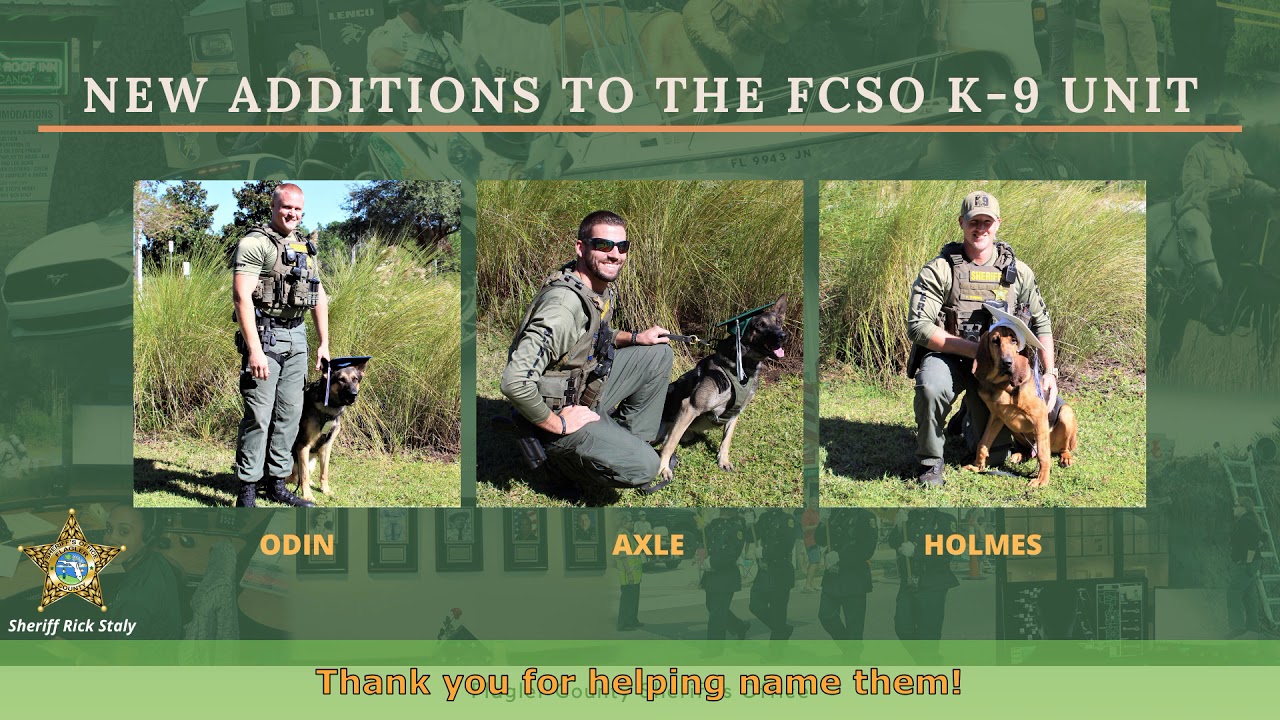 2019 FCSO Year In Review Video News Release