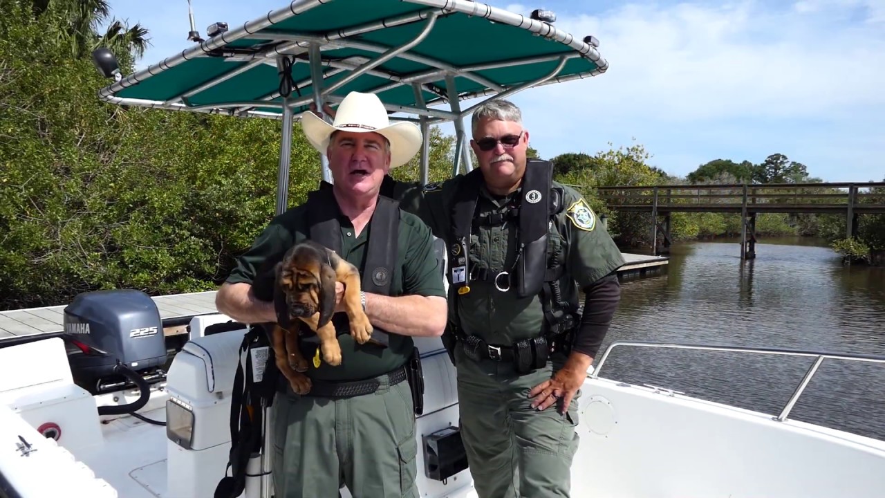 Manatee Safety Video