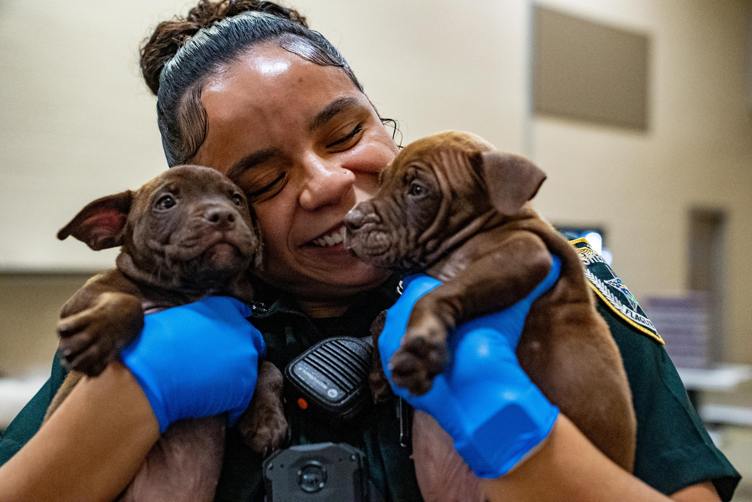 FCSO's SMART Program Welcomes 11 Puppies to Jail