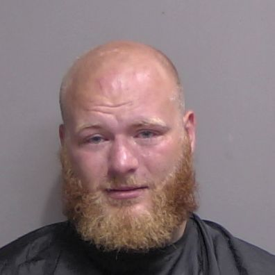 Andrew Briedis, 28, Palm Coast (Sheriff Perry Hall Inmate Detention Facility)