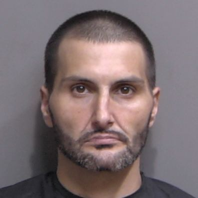 Michael McDermott (Sheriff Perry Hall Inmate Detention Facility mug shot)